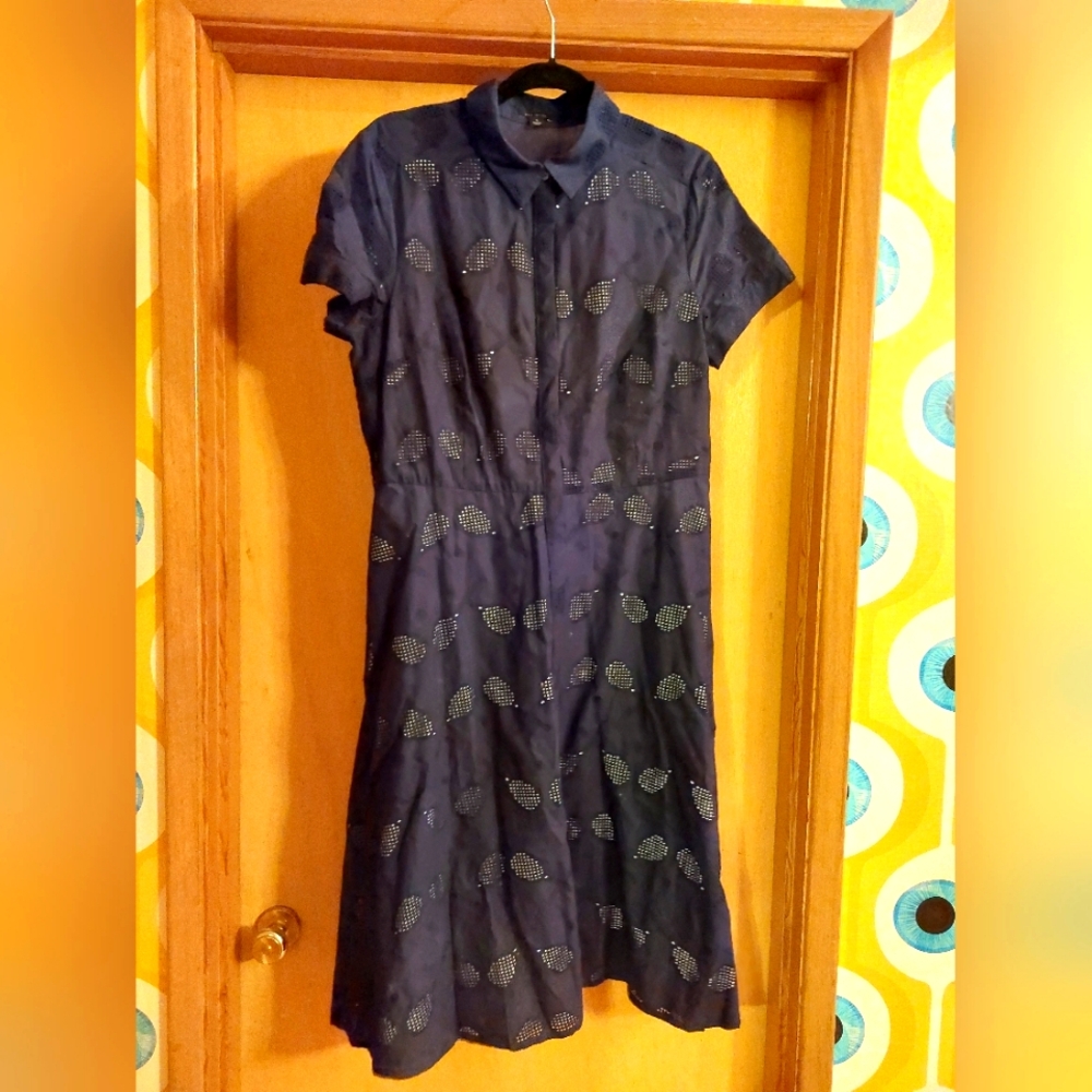 Ann Taylor Dress